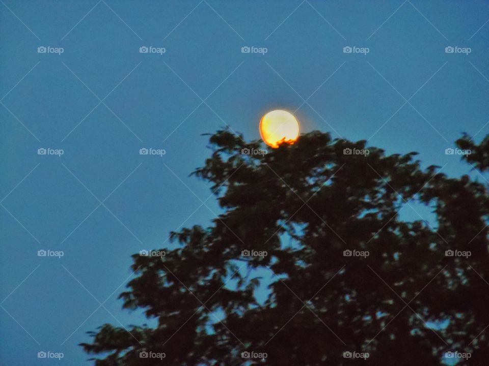 moonstruck 2. This is a picture of the moon.👣