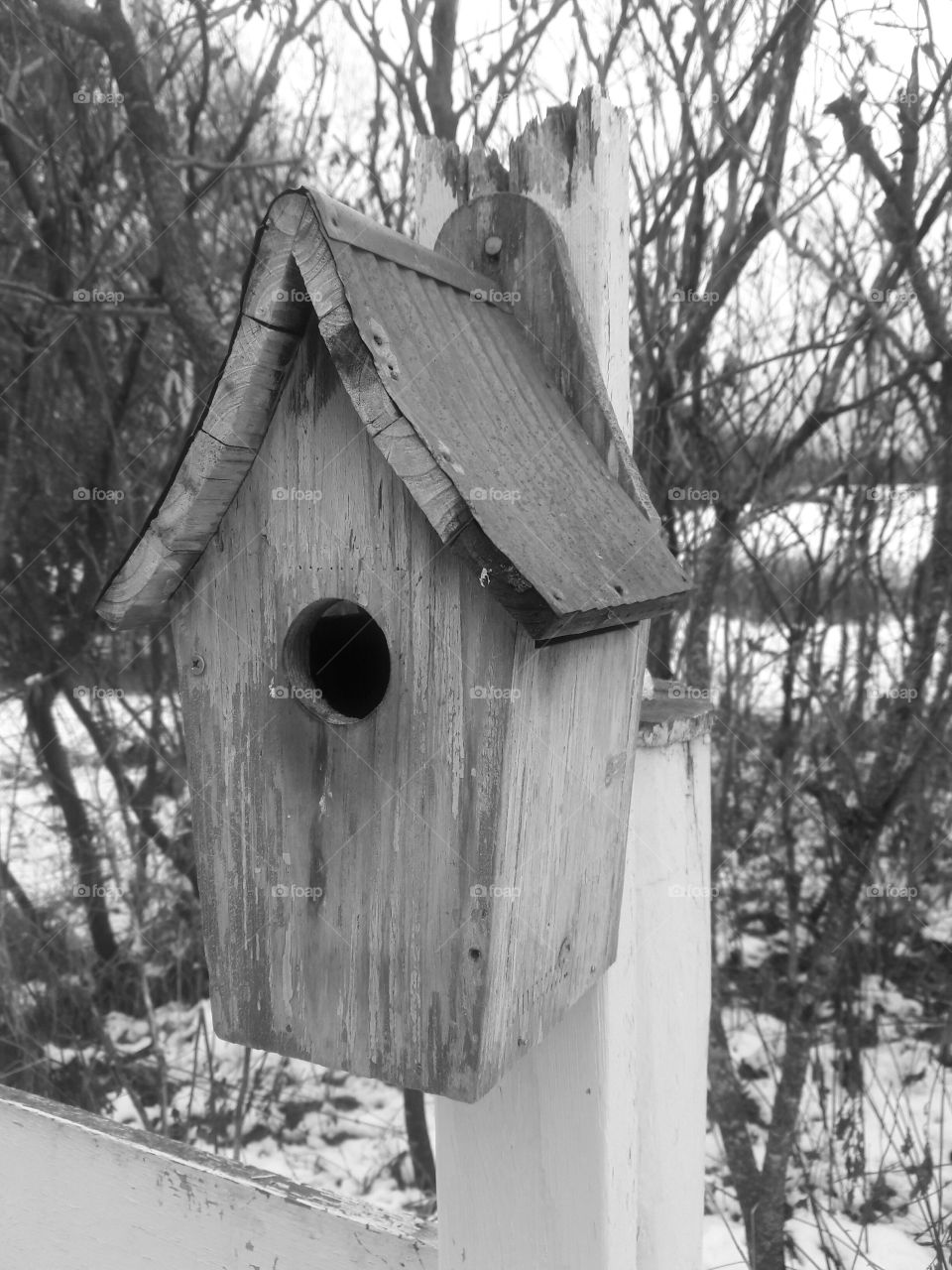 Winter Bird Home