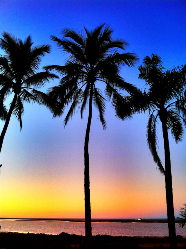Silhouette of palm trees at beach