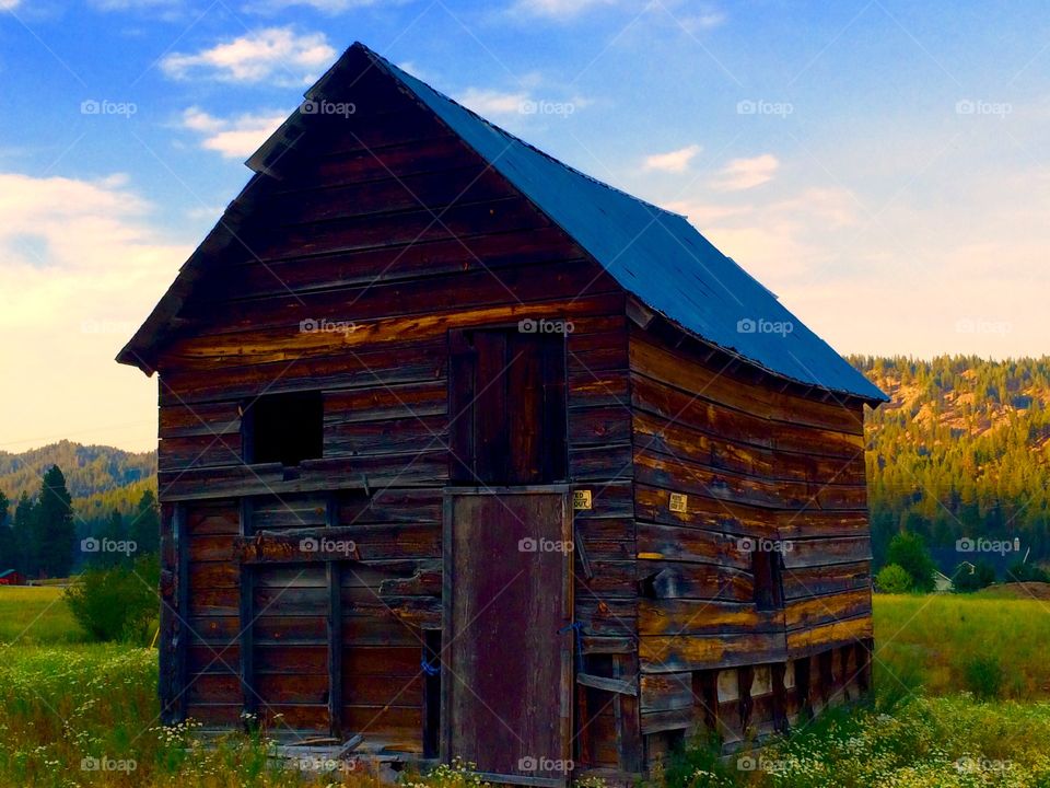 Old cabin