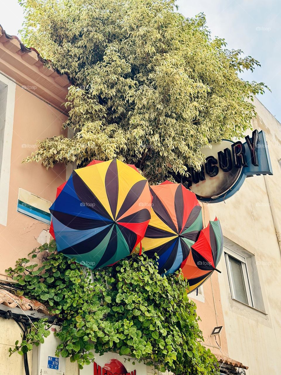 Umbrellas#pride#colors