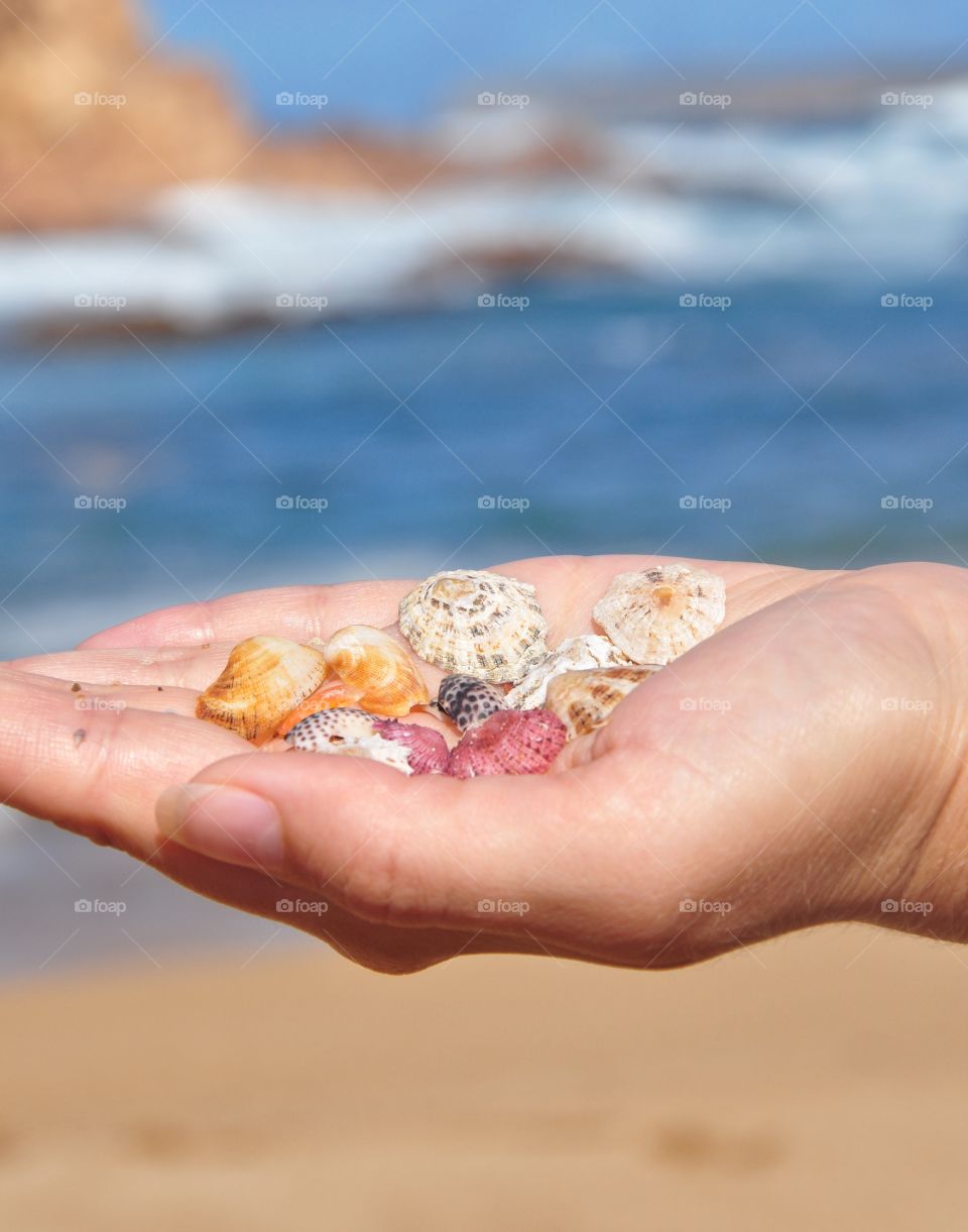 holding colorful shells in a hand on menorca Balearic island in Spain