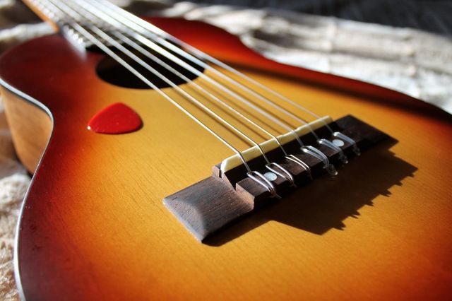 bowed stringed instrument