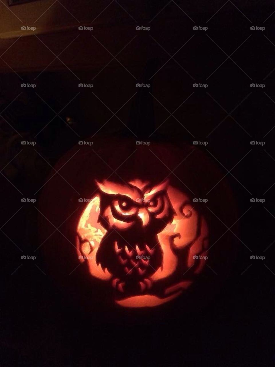 Pumpkin 2014