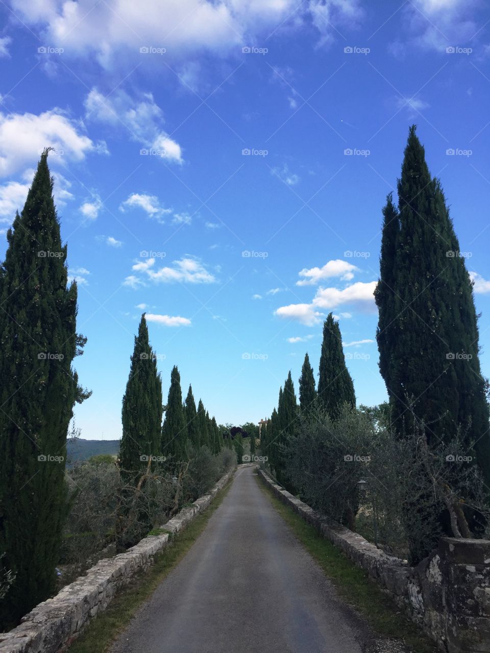 Walking in the street - Tuscany - Italy