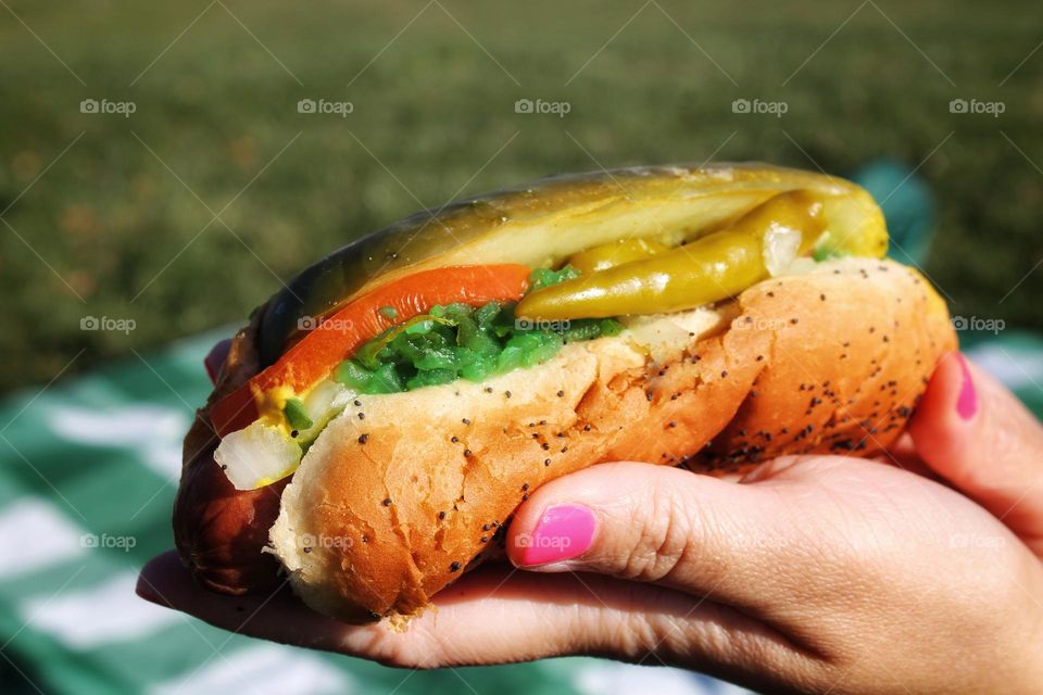 the Chicago style Hotdog