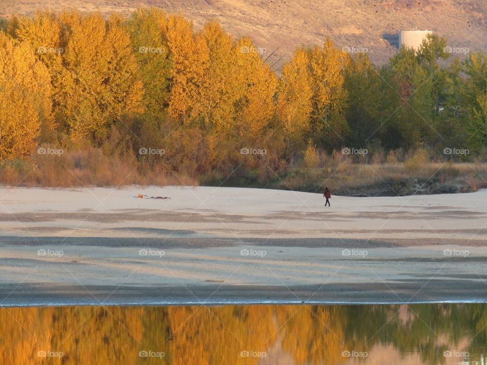 Fall beach reflection 