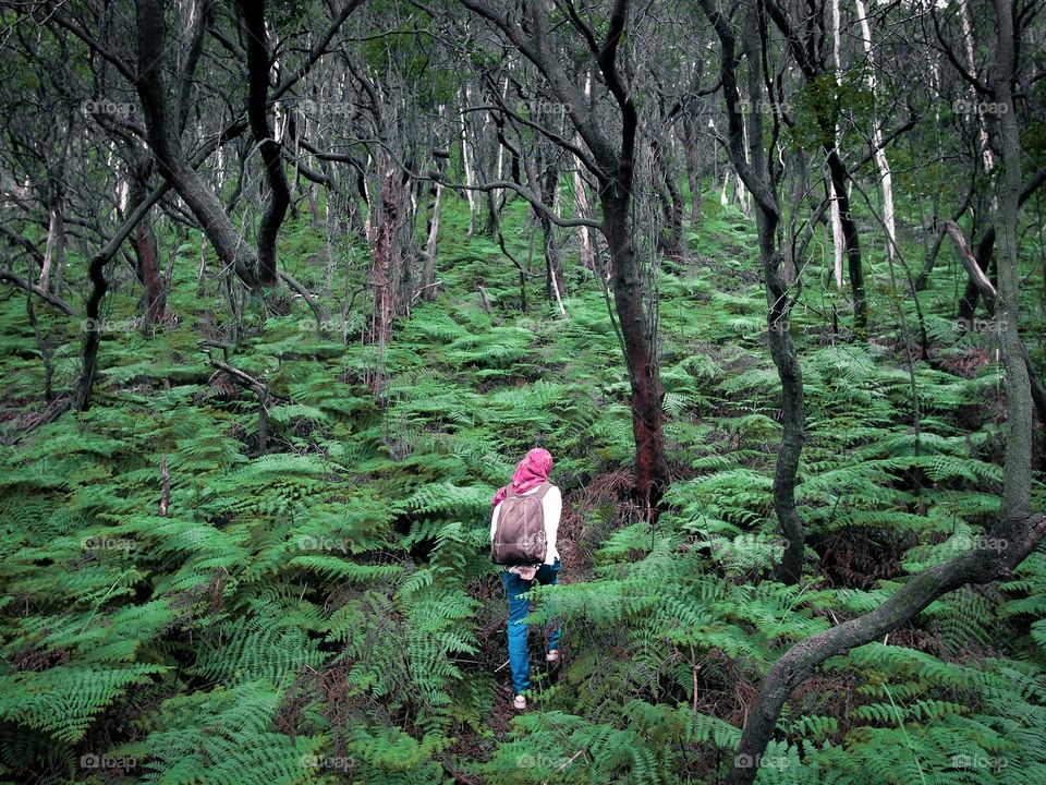  A lady solo hike up a mountain in Kawah Putih, Indonesia