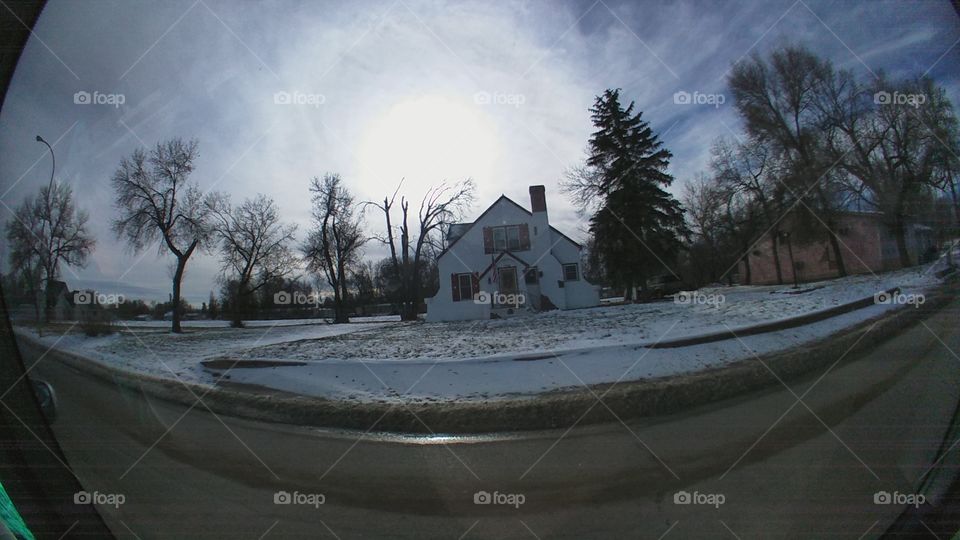 Winter, Snow, No Person, Tree, Road