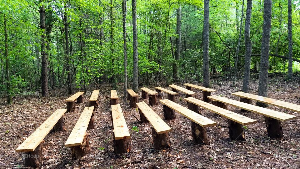 Benches in the forest