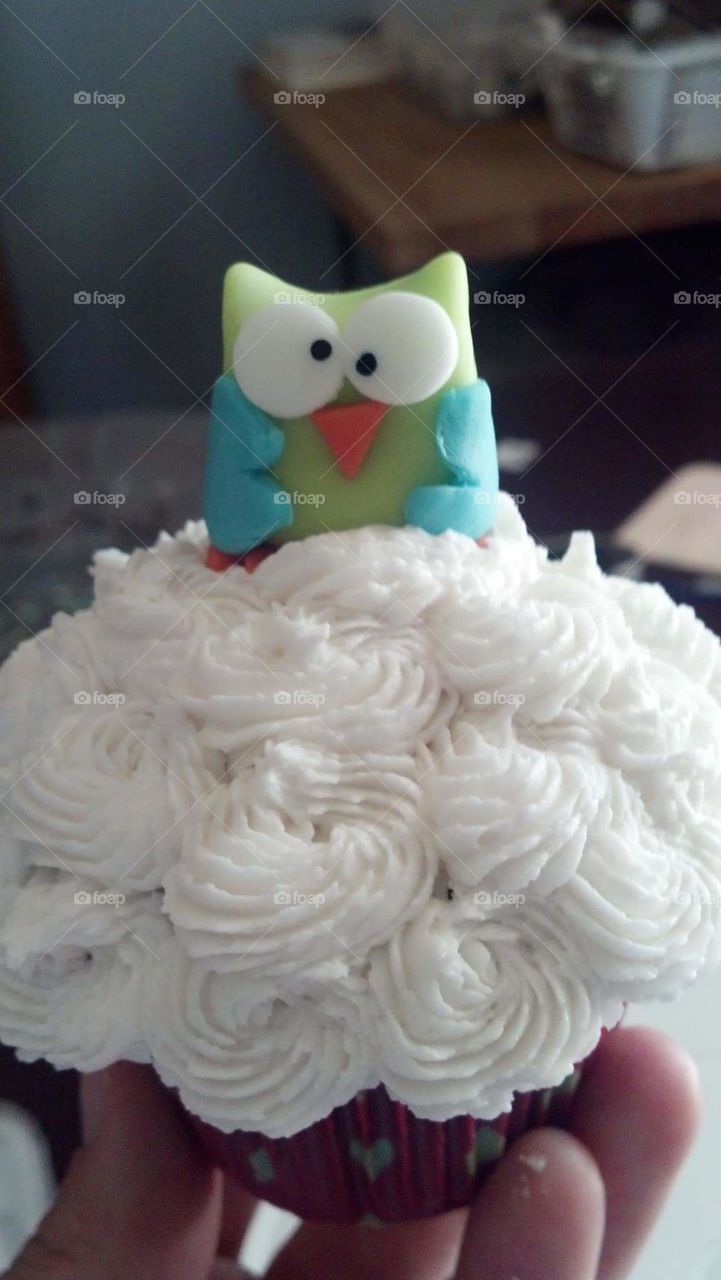 owl cupcake