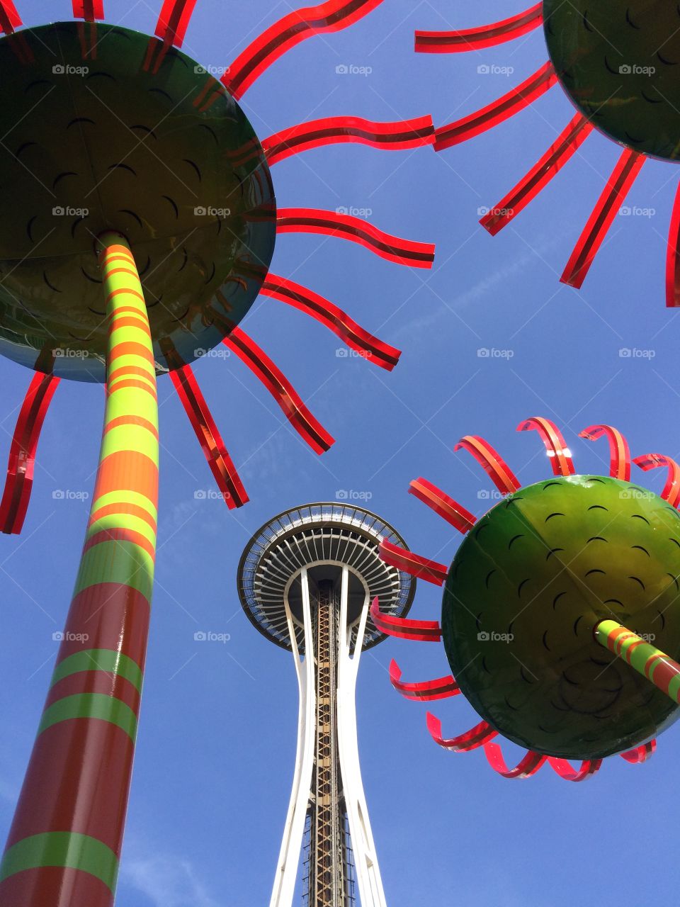 Funky flowers under the Space Needle