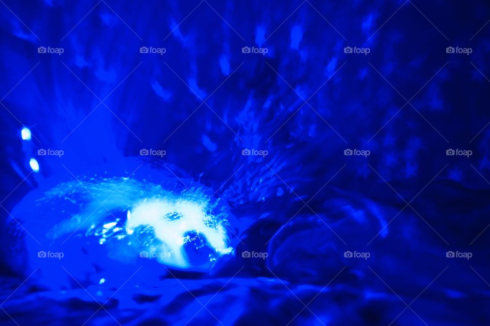 Toddler’s night light shines in the whole room at night. 