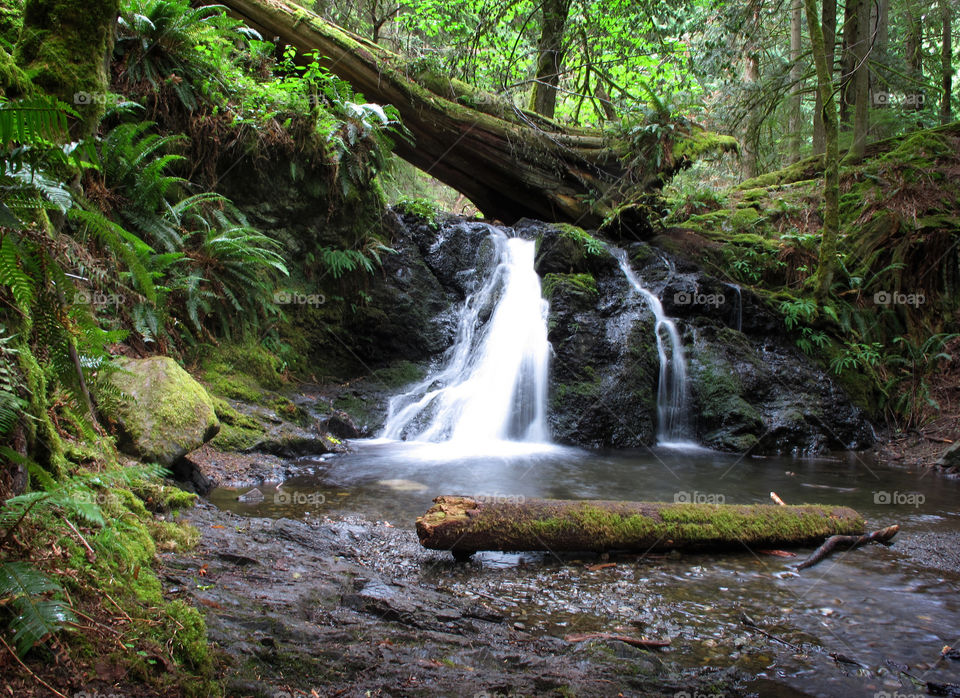 A small waterfall about five minutes down trail from the northern trail head for Cascade Trail in Moran State Park on Orcas Island.