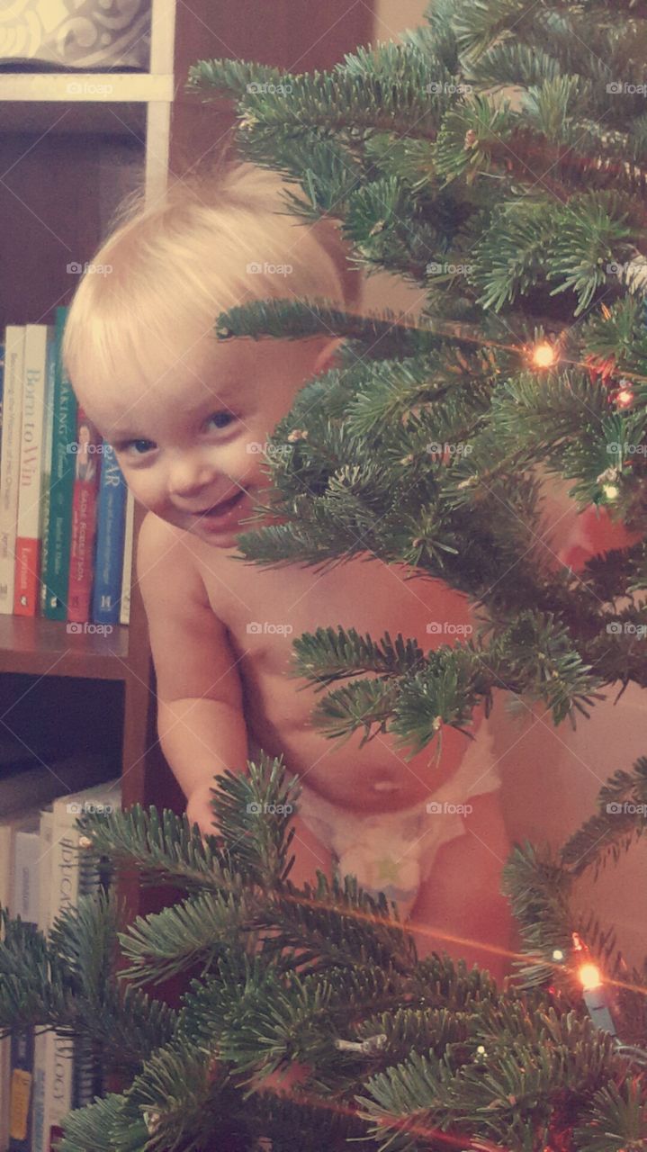 Christmas Tree Peek-A-Boo