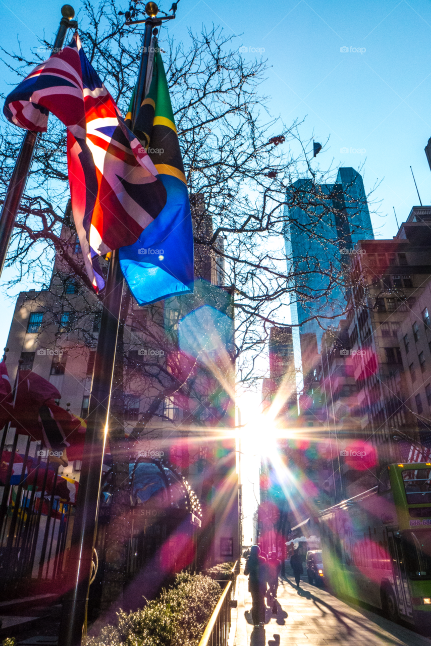 sun trees buildings flags by delvec