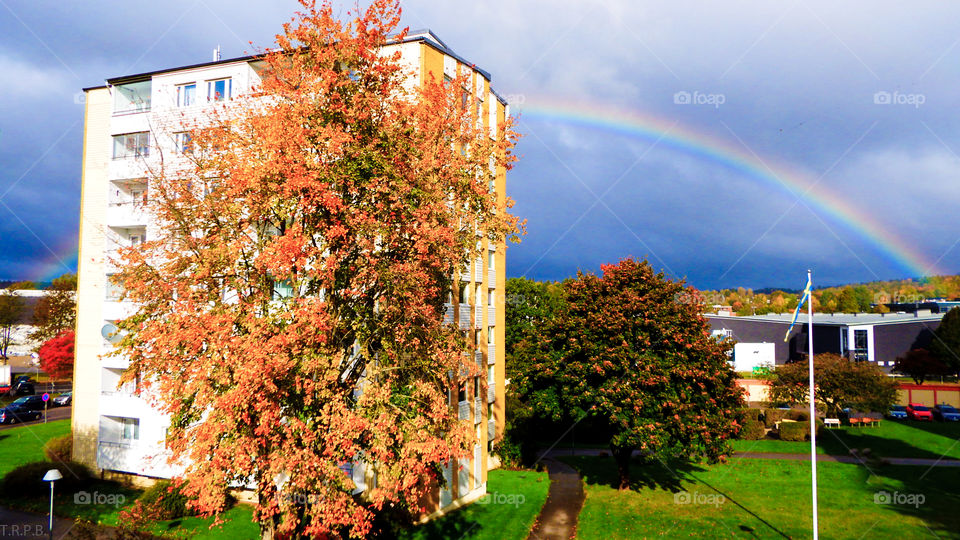 fall rainbow over the neighbourhood