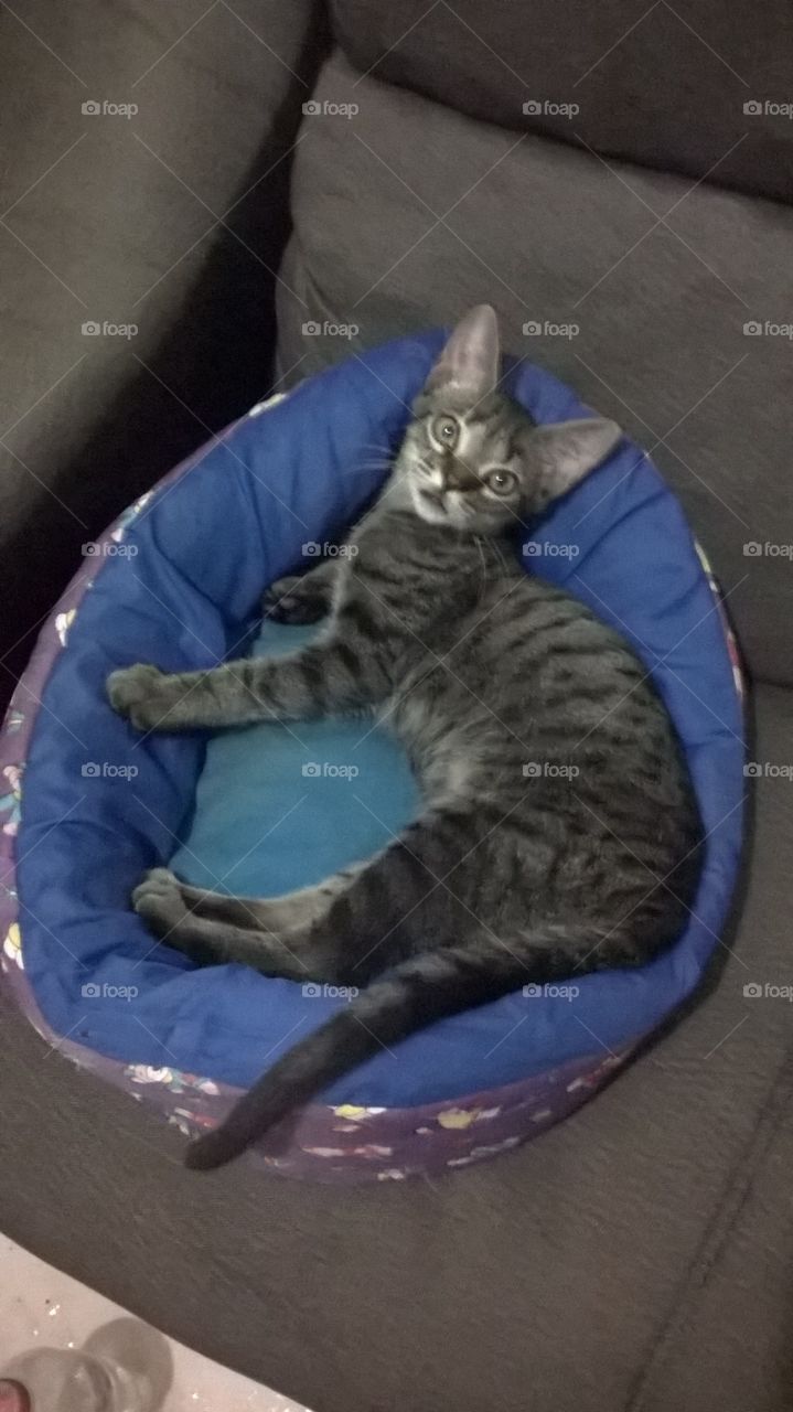 amigo parceiro lindo e perfeito