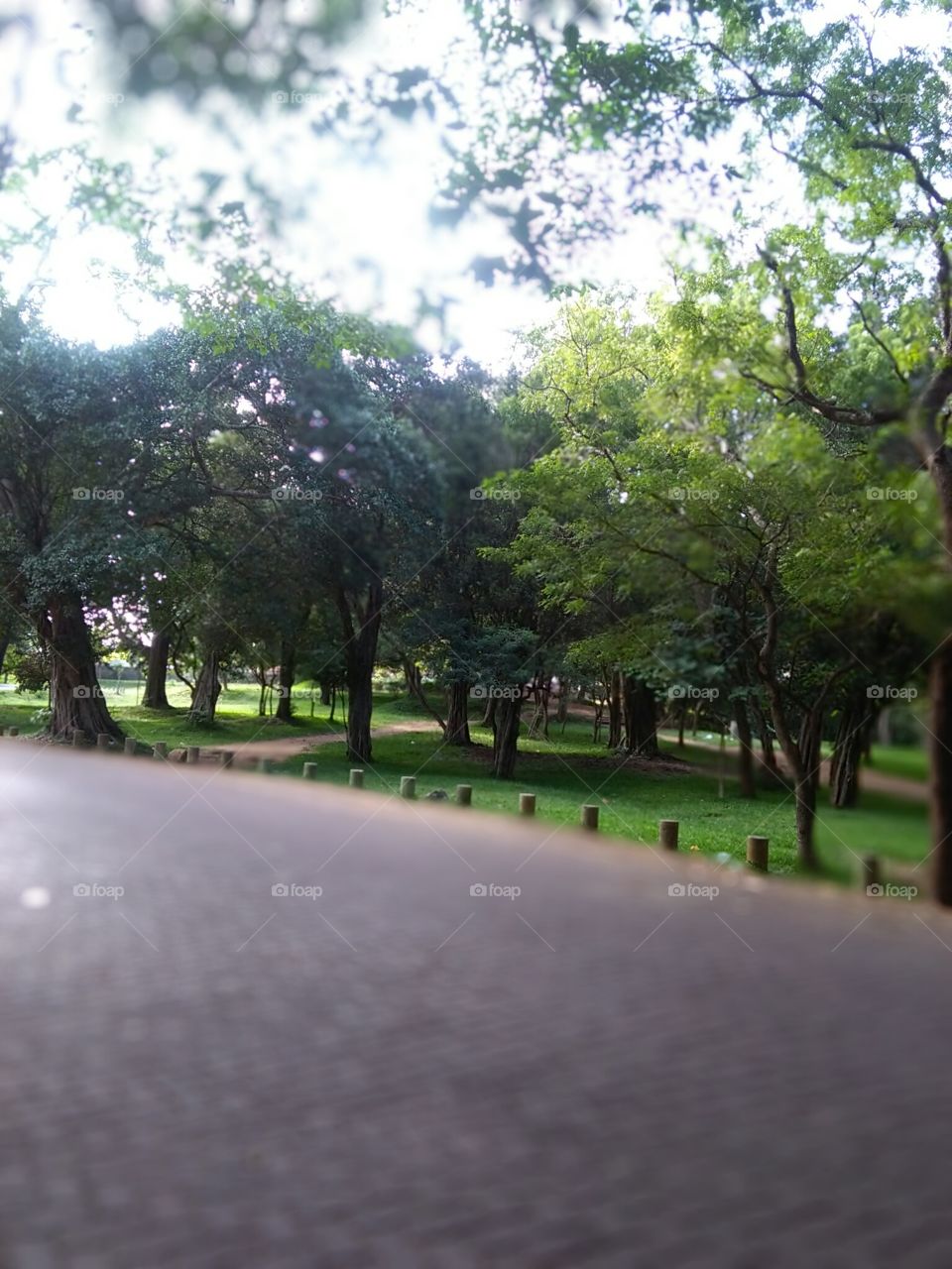 A park