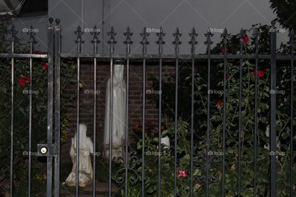 Fence, No Person, Flower, Outdoors, Gate