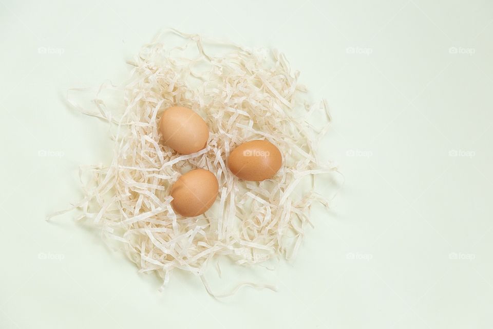 Eggs 