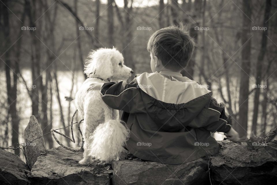 Rear view boy sitting on rock with dog