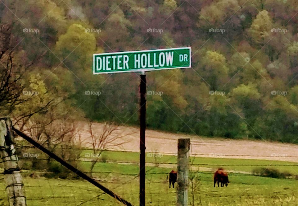 Driving the Back Roads and enjoying everything around us