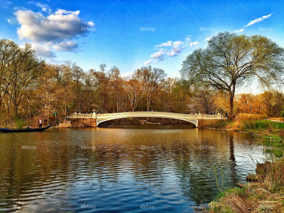 Scenic view of bridge over lake