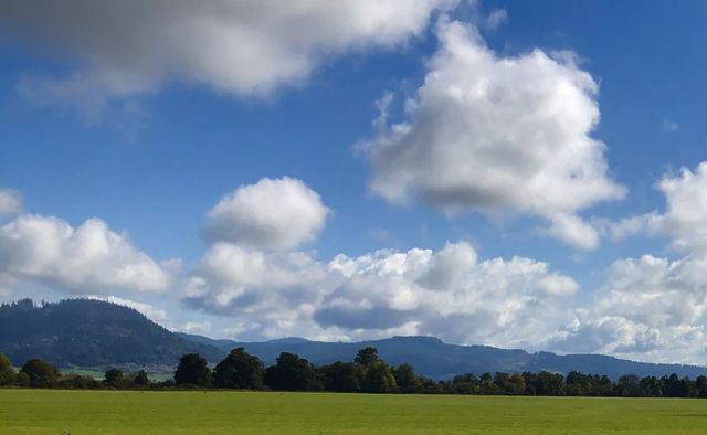 Oregon Skies