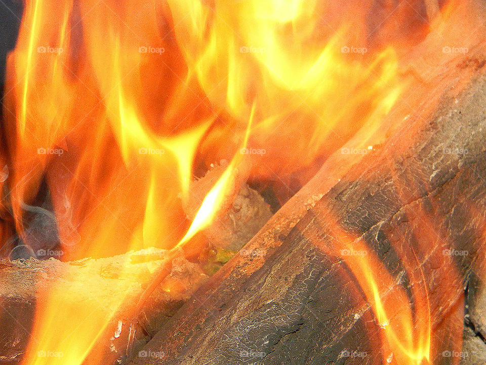 Burning firewood. Fire.