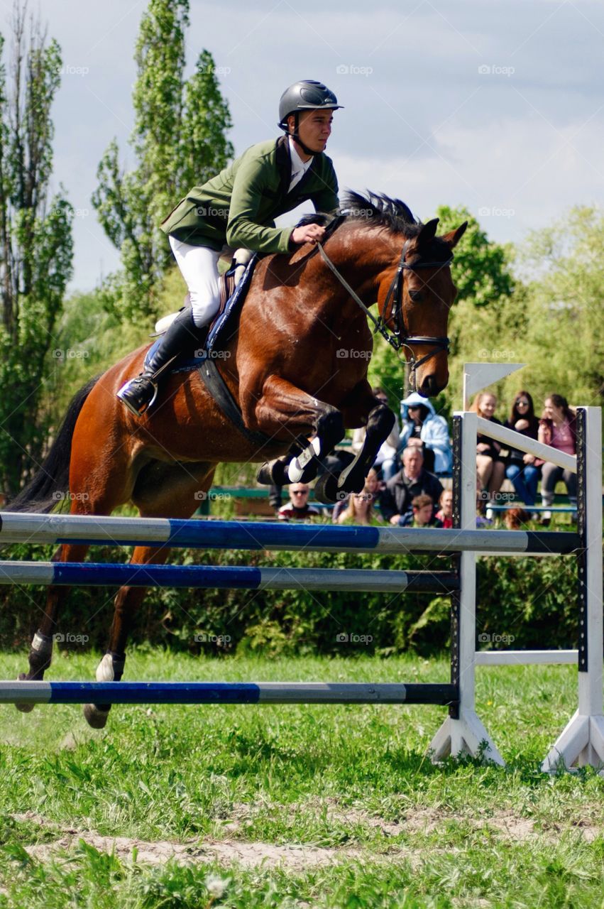 Rider on brown horse in jumping show