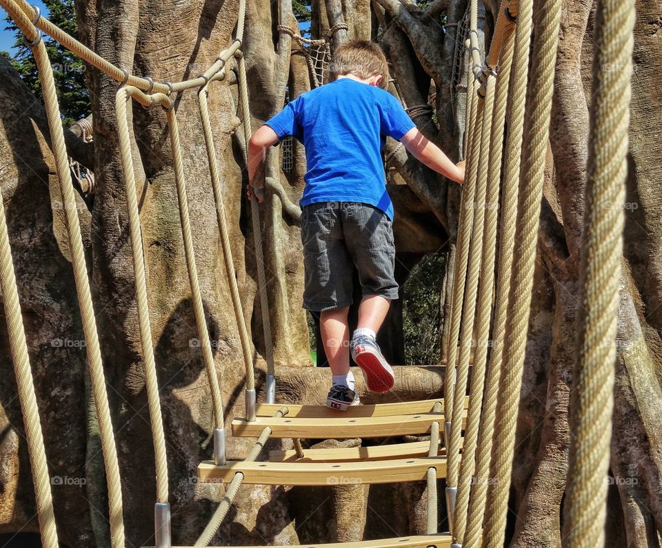 Boy Crossing a Rope Bridge