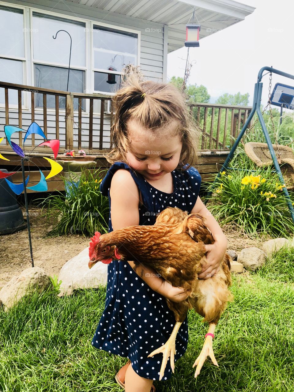 A girl and her pet hens at Grandmas House