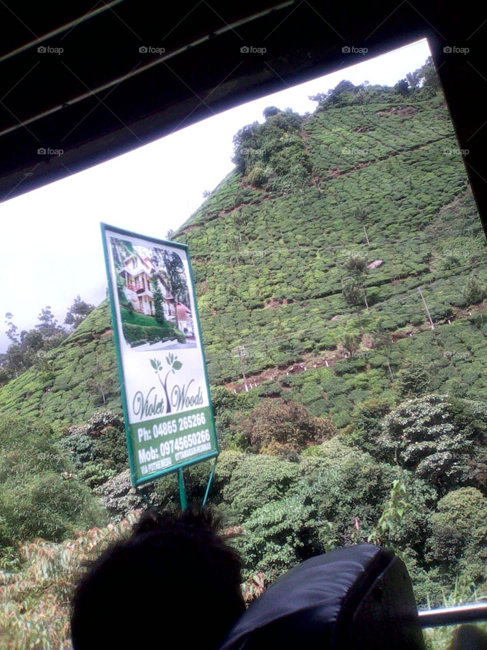 mountain cultivation