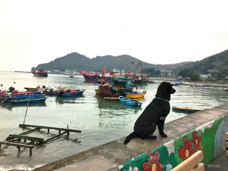 Tai O 