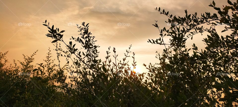 Attractive evening with a bright Sun set.