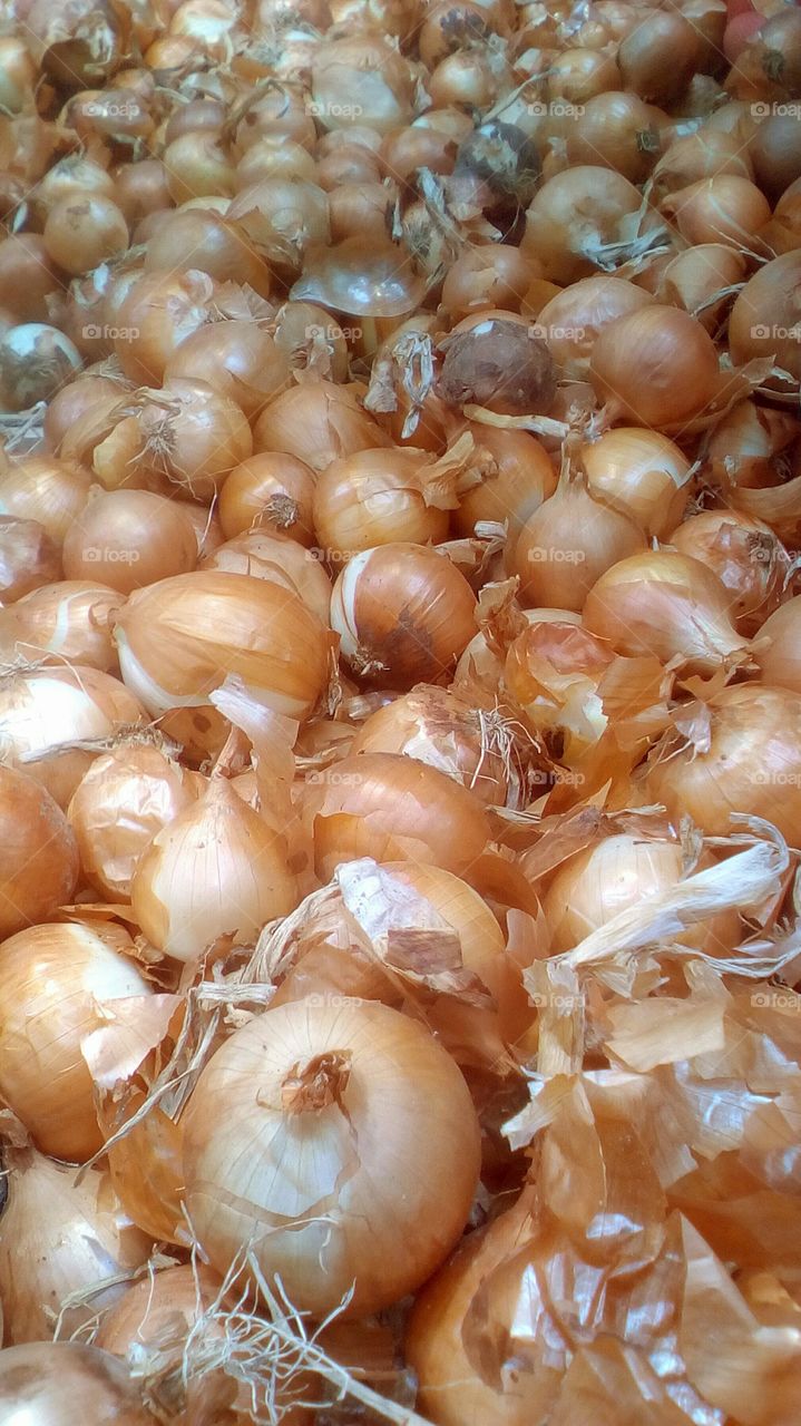 Abundence of fresh healthy oniouns