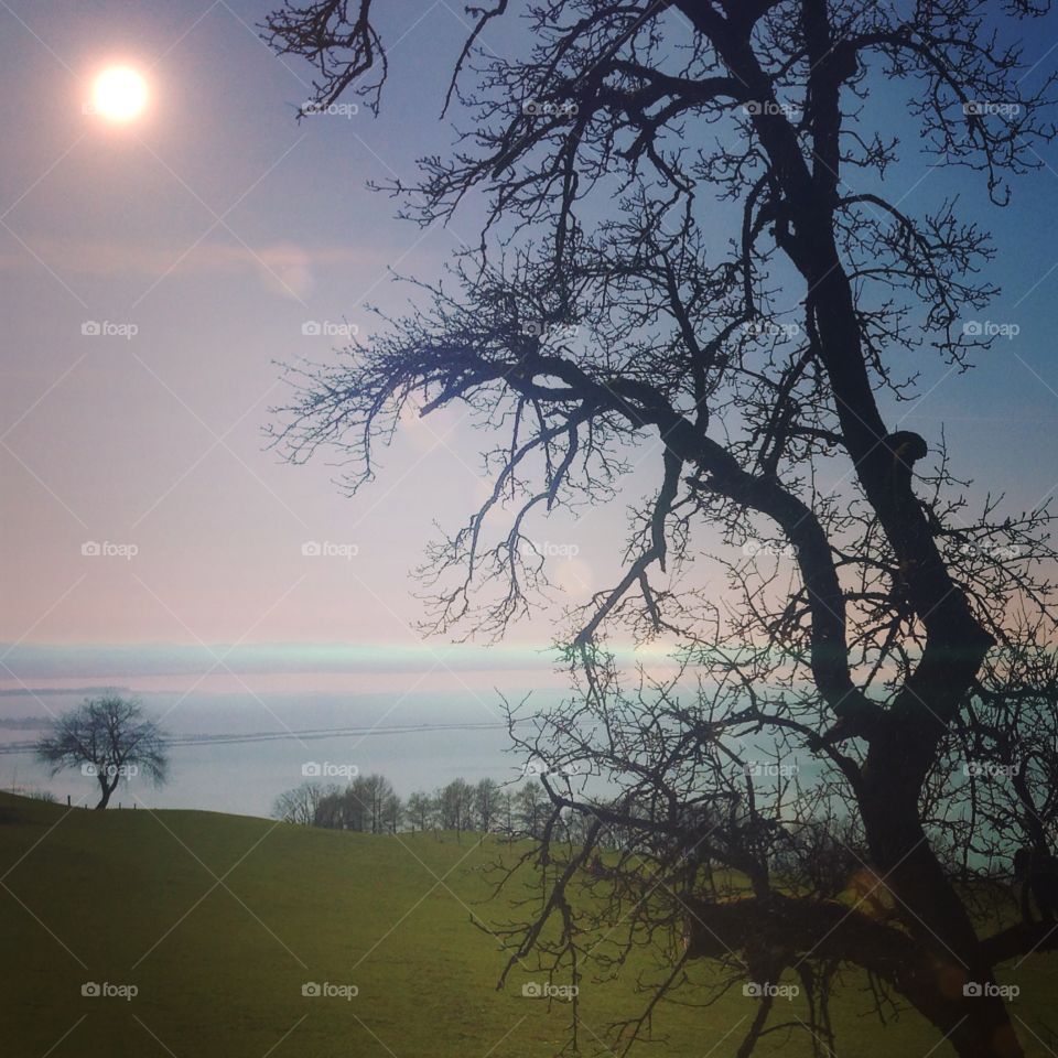 Tree, Dawn, Sunset, Landscape, Silhouette