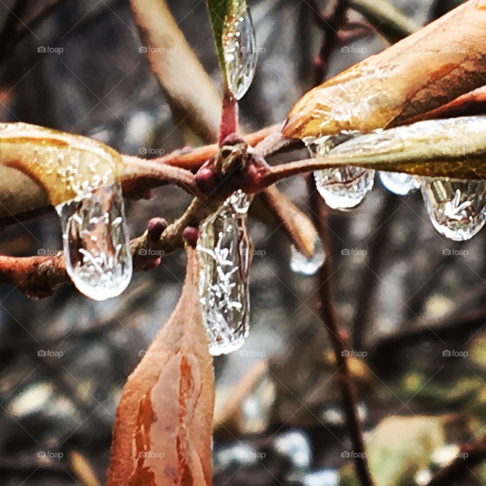 Grainy water droplets frozen mid-drop