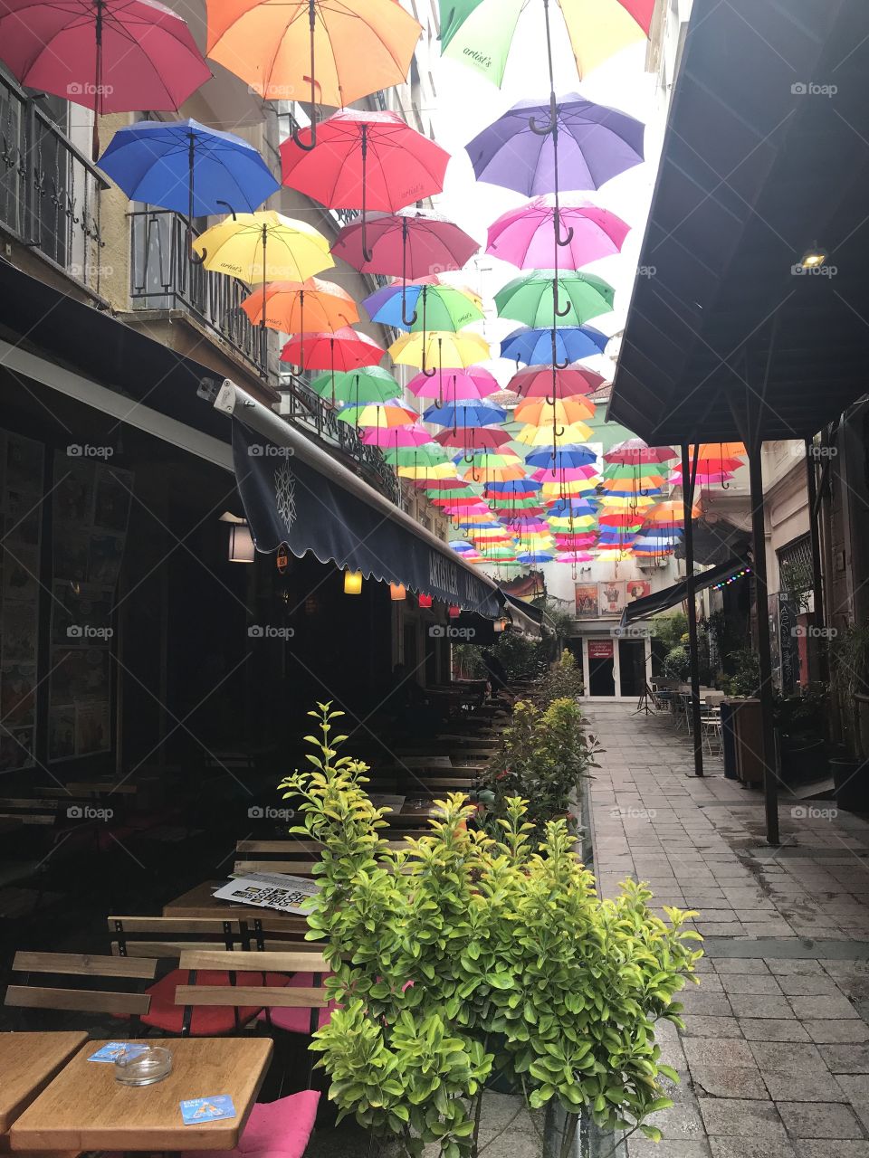 Umbrella street 