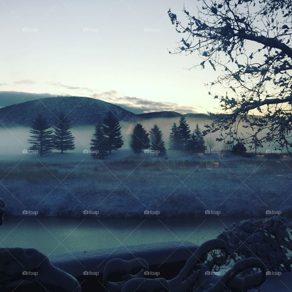 Start of winter....the winter morning fog and frost in my home, in my back yard. Park city utah