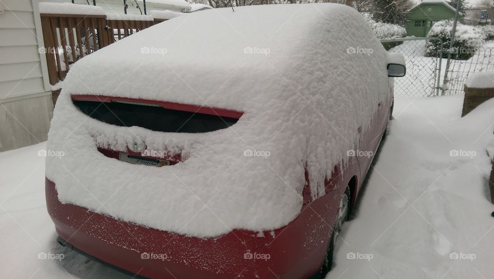 Prius Snow