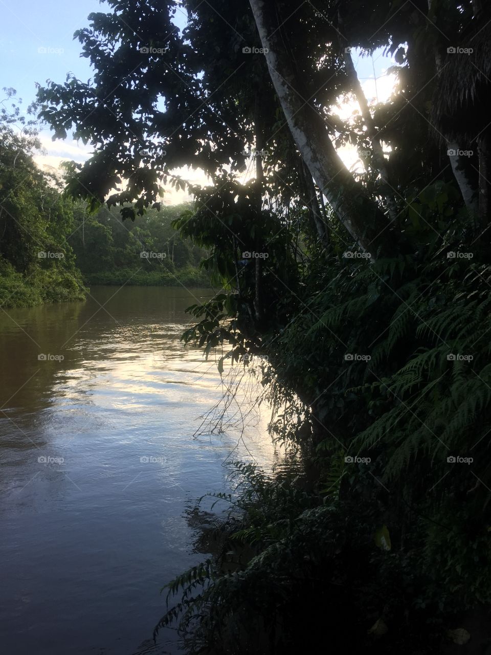 Morning in the Amazon. River near Kapawi Eco lodge 