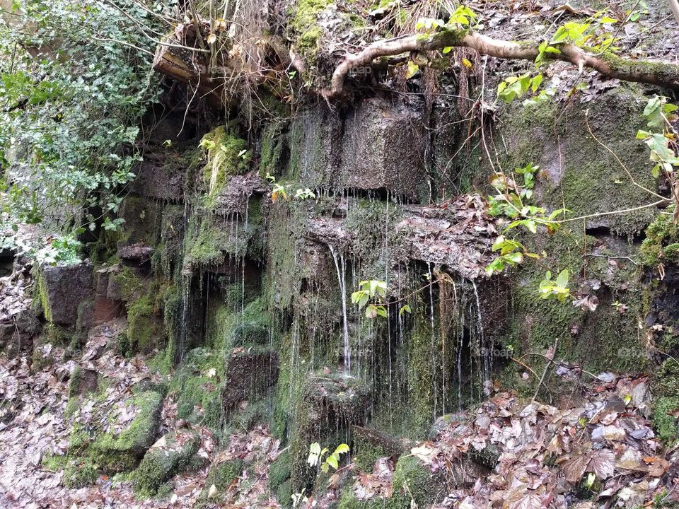 Rock formations with moss