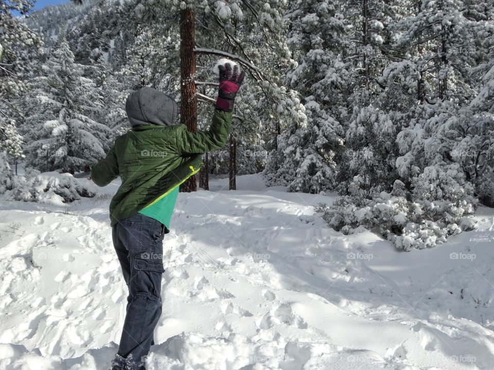 Boy Throwing Snowballs