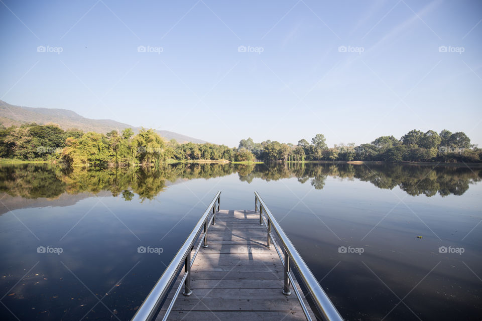 Bridge in the pond 