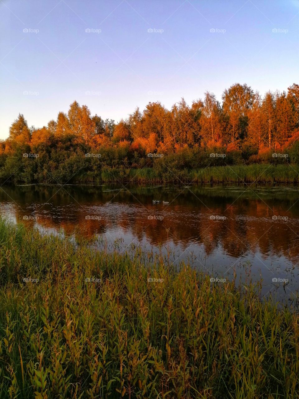 A magnificent mirror image of an autumn landscape in Finnish Lapland.