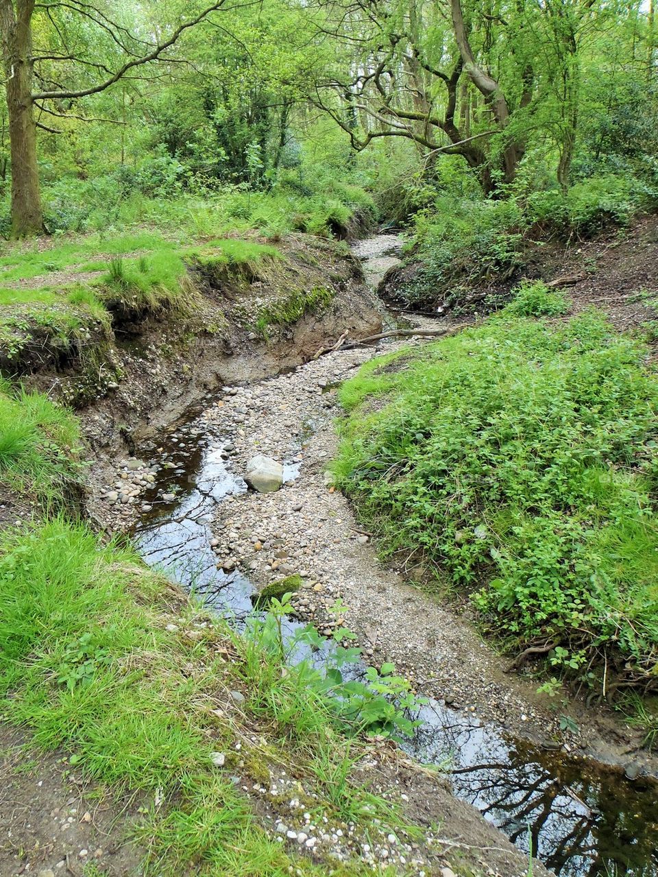 In the nature reserve 