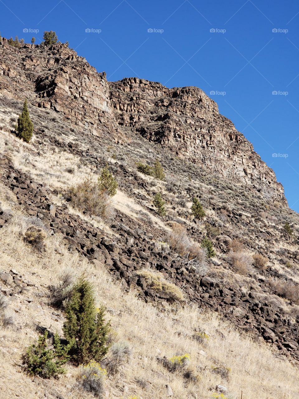 Hills along the Crooked River Highway made from andesite and basalt flows on a sunny fall day with clear blue skies in Central Oregon. 