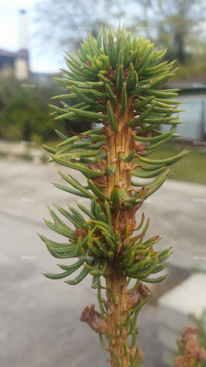 People, Many, Crowd, Group, Commerce